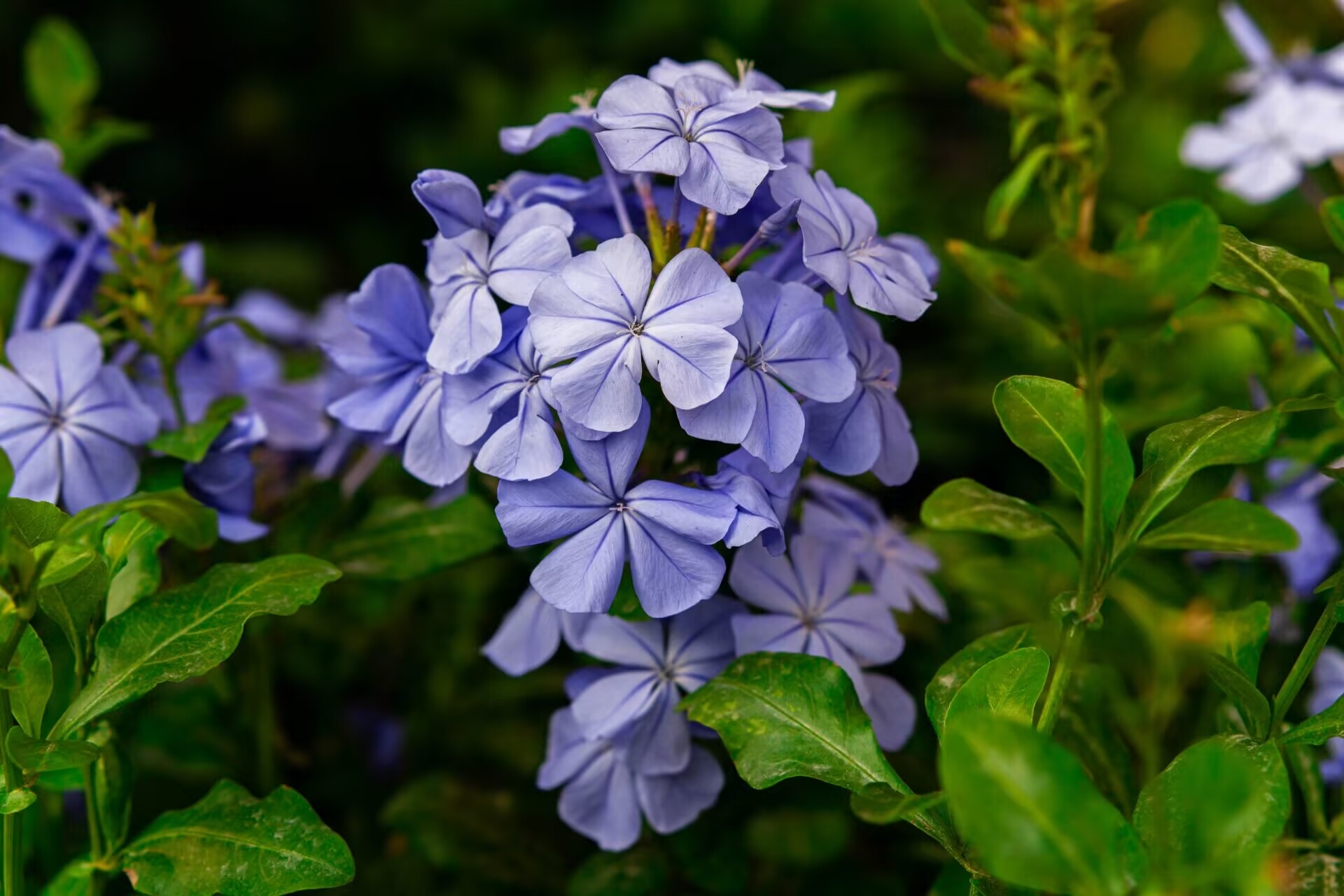 2022拿到相机记录的一些照片